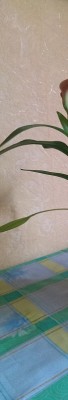 IMAG1526 - Kopie.jpg (40.48KiB)54678 mal betrachtet IMAG1526 - Kopie.jpg